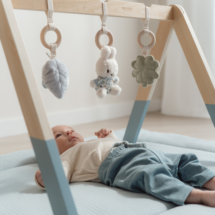 Little Dutch X Miffy Babygym | Lucky Leaves