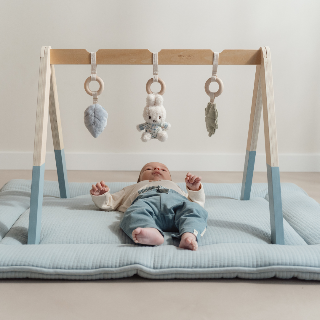 Little Dutch X Miffy Babygym Lucky Leaves – Nola Baby