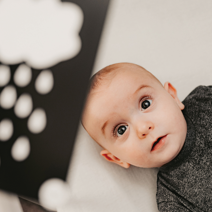 Priya & Peanut | Newborn Sensory Cards