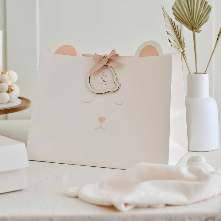 Ginger Ray Baby Shower Gift Bag - Teddy
