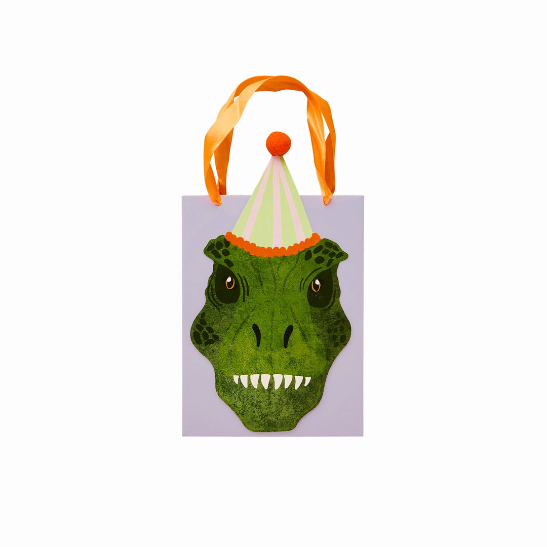 Dinosaur Party Bags | Pack of 5