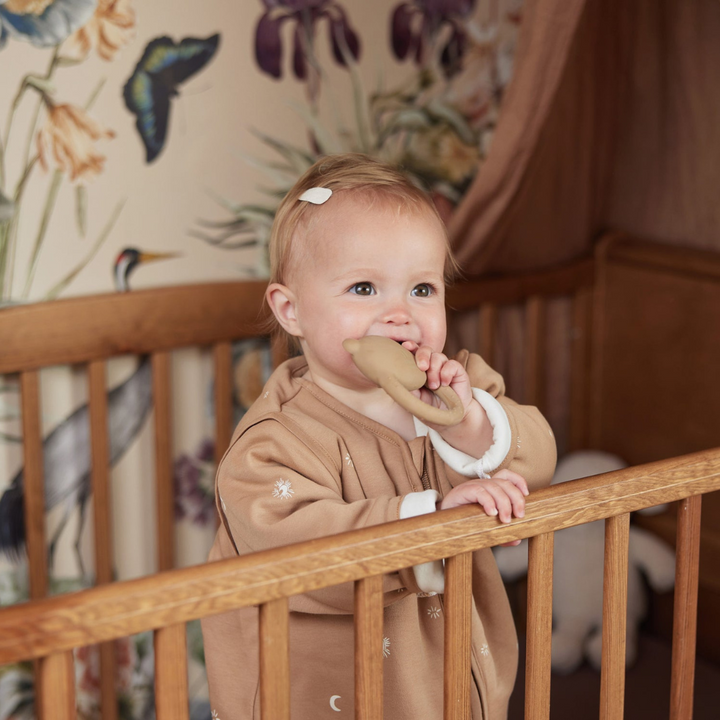 Jollein Teething Ring | Teddy Bear