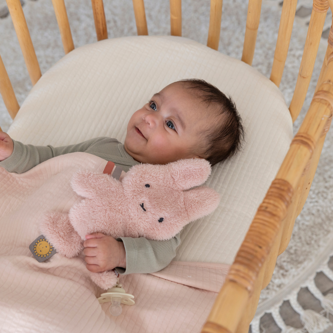 Little Dutch x Miffy Pink Bundle