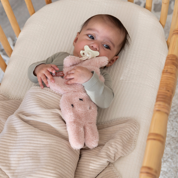 Little Dutch x Miffy Pink Bundle