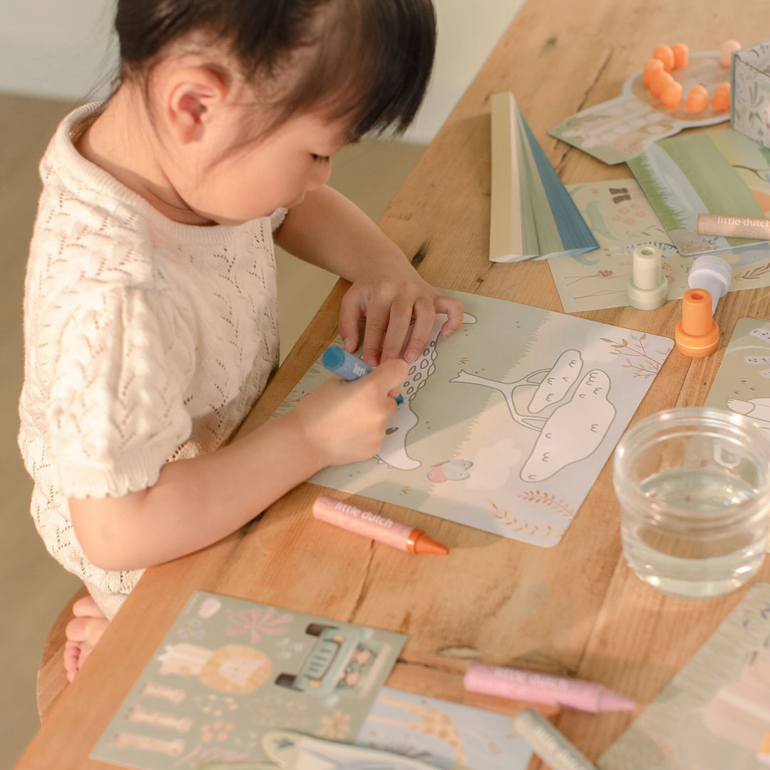 Creativity Box | Safari Friends