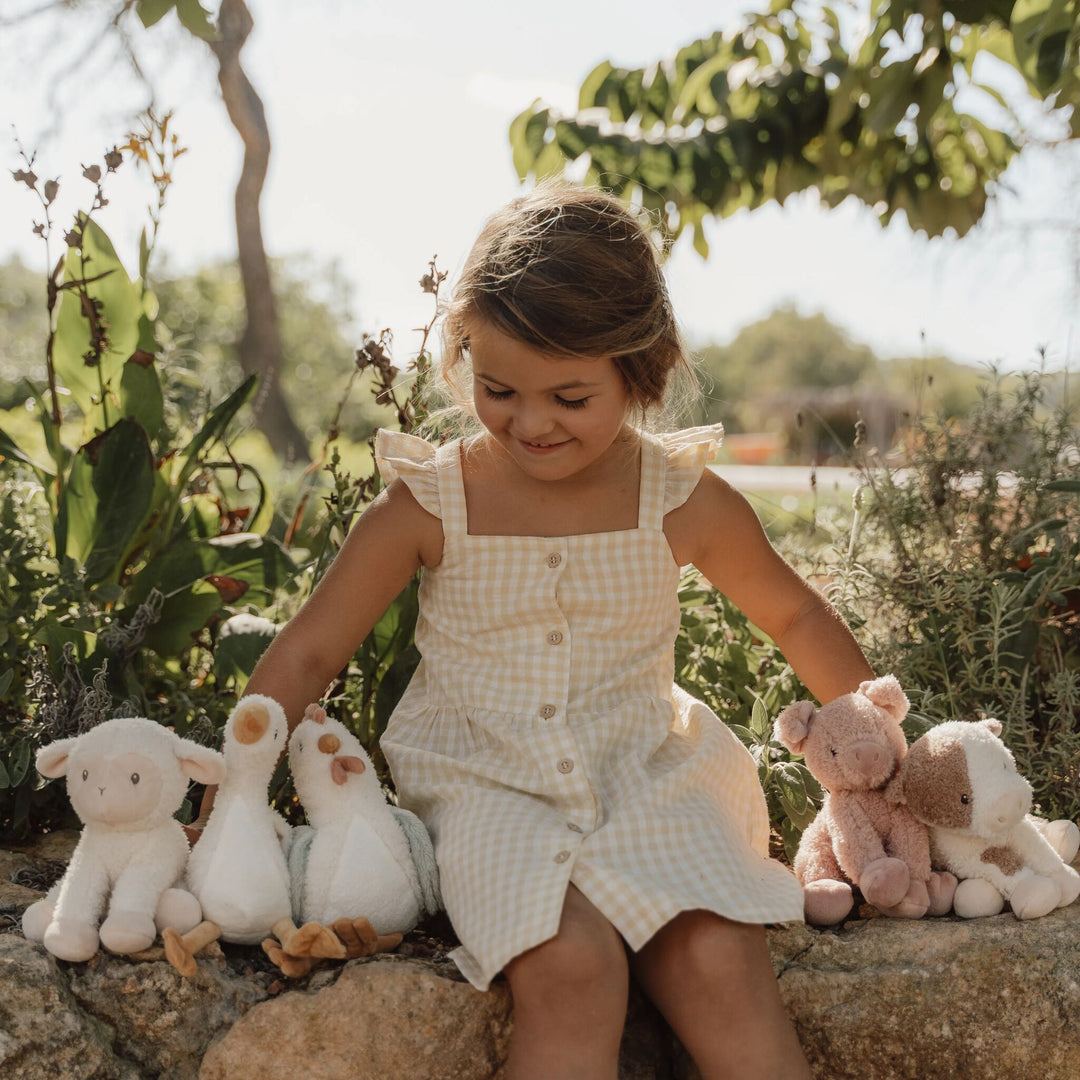 Little Dutch Cuddle Pig | Little Farm