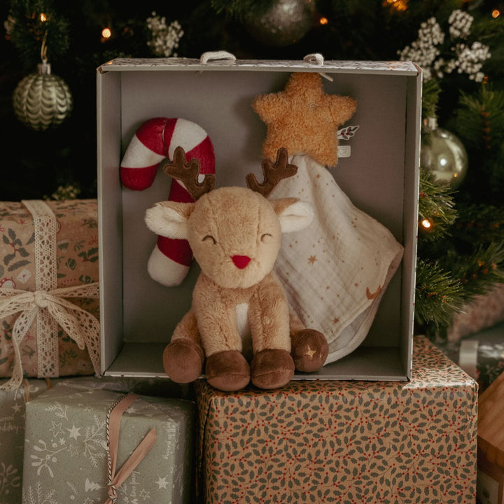 Little Dutch Gift Set | Christmas