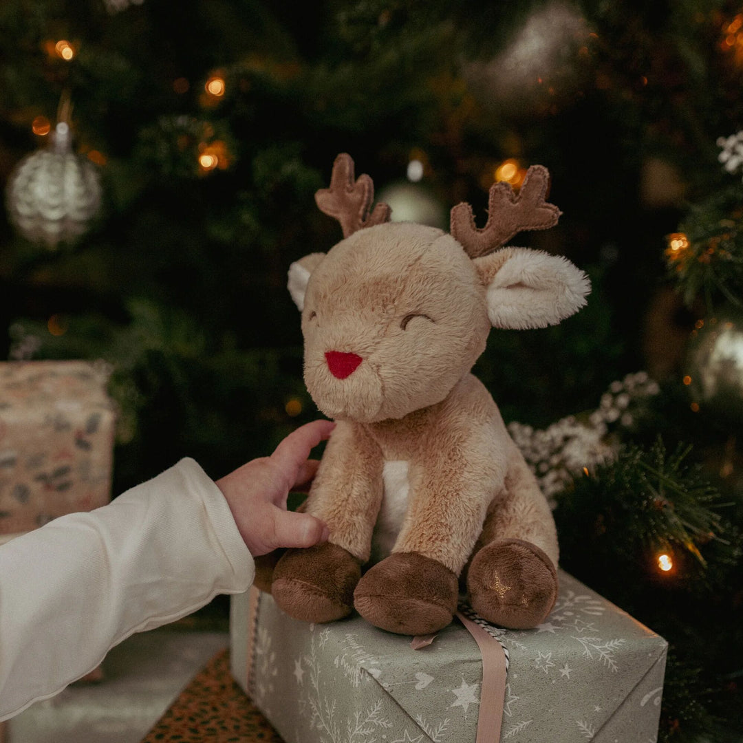 Little Dutch Gift Set | Christmas