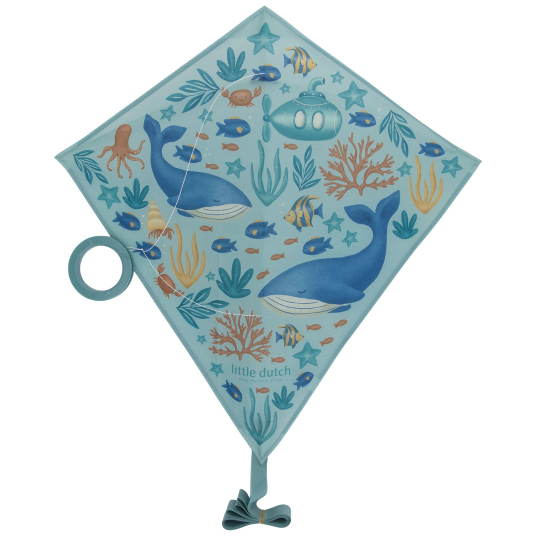 Diamond Kite | Ocean World