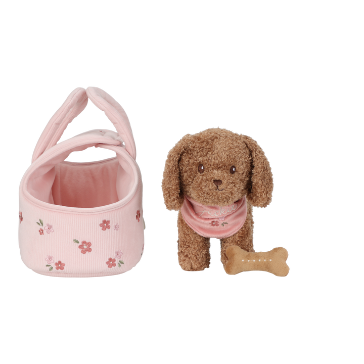 Little Dutch Vet Bundle | Dog
