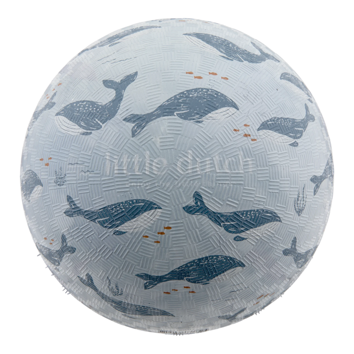 Rubber Ball | Ocean World