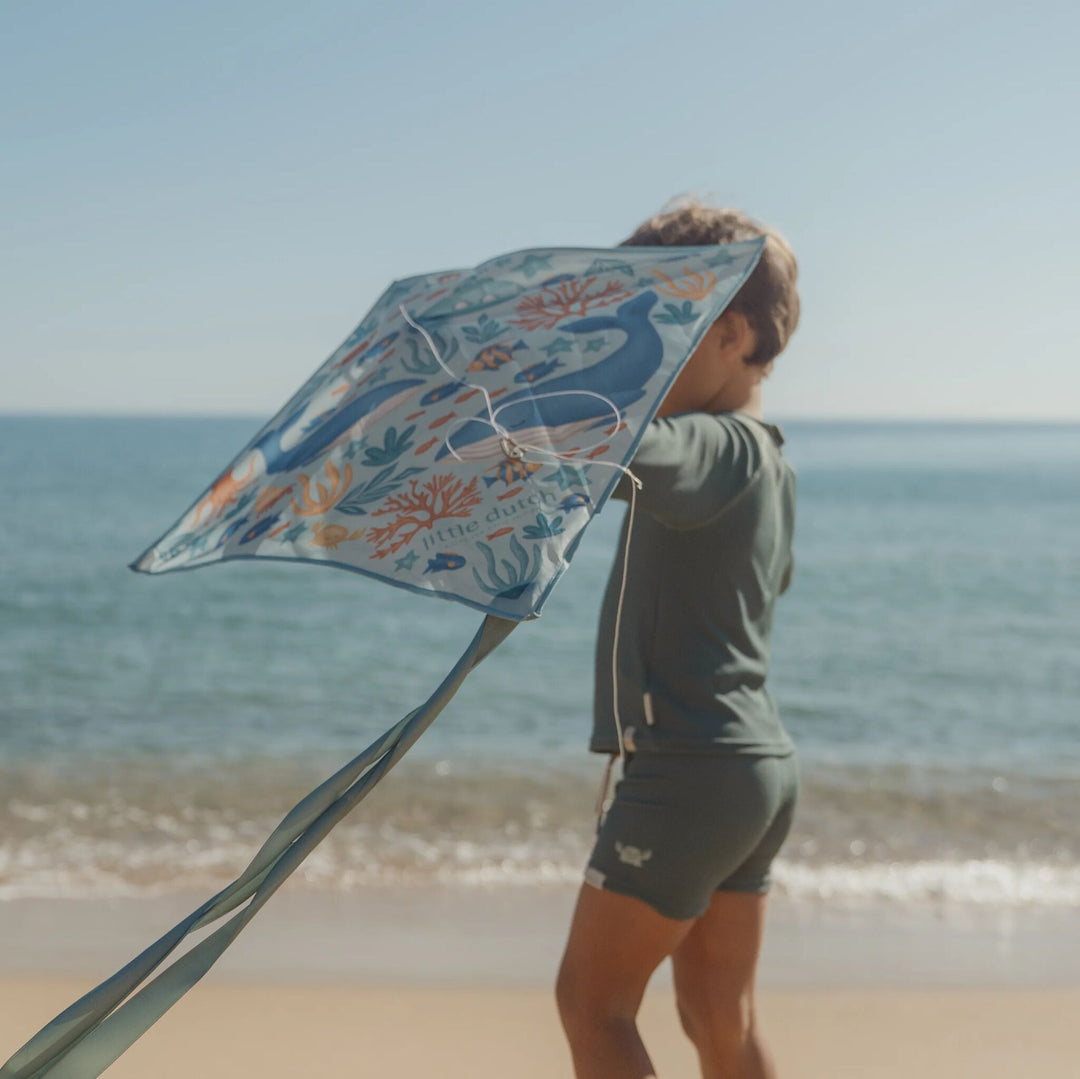 Diamond Kite | Ocean World