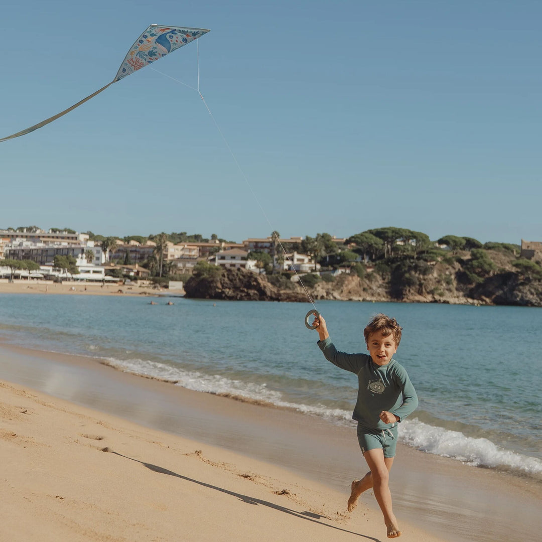 Diamond Kite | Ocean World