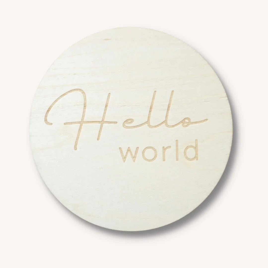 Hello World Bundle | Bear